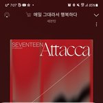 [세븐틴] <b>캐럿</b>들 가보자고 가보자고 가보자고