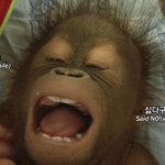 [댓글부탁해] 너네 바지 어디까지 올려<b>입음</b>ㅌㅋㅋㅋ?