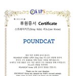 [스키즈] <b>파운드</b>캣 진짜 미쳤다…