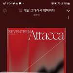 [세븐틴] <b>캐럿</b>들은 진짜 짱이야