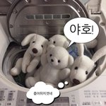[드루와] 이거 말풍선 뭐로만든거?
