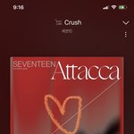[세븐틴] 나 고삼 캐럿….