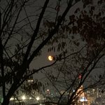 [NCT칠프] ㅅㄷ)오늘 뜬 붉은 달 봤어? 페이보릿이랑 넘 찰떡이야...