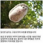 아진짜 수능가지고 추천 <b>유도</b>하는 어그로 ㅈ같애