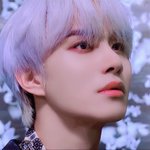 정우 <b>백발</b>