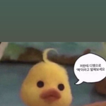[댓글부탁해] 이거 어그로 끌릴 것 <b>가타</b>???ㅠㅠㅠㅠ