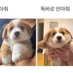 [드루와] 내 <b>이름</b> <b>개</b>쉬운데 맞혀볼사람!!!!!!!!!!!
