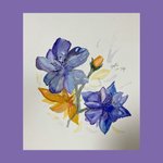 [황현진] 현픽 with <b>STAY</b>