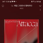 [세븐틴] 근데 이해는 가기는 함..