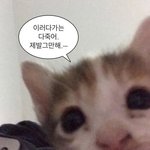 [드루와] <b>주문</b>제작 케이크 <b>주문</b>하려고 하는데