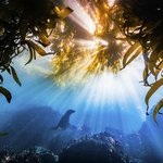 출품작 12만 점 중 손 꼽힌 작품들