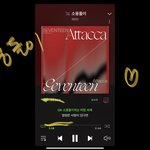 [세븐틴] <b>뮤스</b>