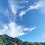 [세븐틴] 이번에 입덕해서 아래버스 <b>정독</b>중인데 재밌다