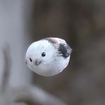 <b>수시</b> 결과 기다리는 기여븐 곧성인 판녀드라
