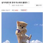 설거지 떡밥중에 제일 역겨운건 이거임