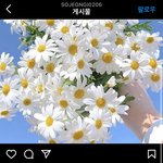 김선호 슬픈<b>열대</b> 스텦 인스타글 올라옴