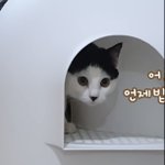 앞머리 <b>정갈</b>한거봐