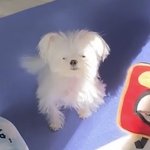 지금 <b>벽판</b>애들 뭔가 착하다