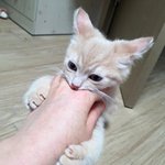 야 나 <b>허리</b>가 완전 나갔는데