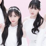 김채현 왜케 후려침?