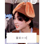 [엔하이픈] 투표 레쭈고