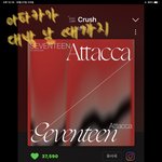 [세븐틴] 궁금한 점