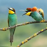 동물들의 유쾌한 순간을 '찰칵!'