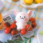 [TXT] 너네 쭌링이 봤어???