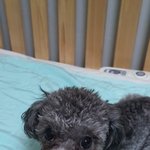 실푸10개월