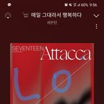 [세븐틴] 고잉 본 애들만 와봐