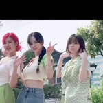 카리나 <b>비율</b> + 글수정