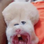 낼 계획!!