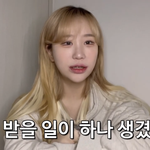 <b>조두</b>팔 김채원