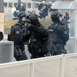 [19] 개 ㄲ리는 사진