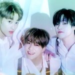 [NCT드림] 우리 애들 진짜 이쁘다