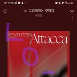 [세븐틴] ㅅㄷ 앨범 관련해서 나 한번만 도와죠!!
