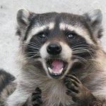 너네 <b>폰</b> 하루 몇시간 <b>봄</b>?