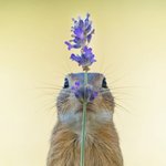 시선을 훔치는 잘 찍은 사진들