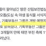 태연 부동산 <b>투기</b> 상황 정리해줌