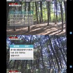 [드루와] 태연 그럼 이많은<b>나무</b>들을 다 깎으려고한거임?