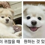 [댓글부탁해] 얘들아 나 취향 진짜 빻았는데 어케??