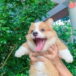[드루와] 얘들아 이쓰쓰 추반댓, 추천<b>유도</b>댓 대응하는 법 알려줌