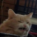대구 <b>인문</b>계