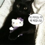 [드루와] 얘들아 <b>저녁</b> 추반해줘