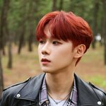 <b>하디</b>, 오늘(29일) '뮤직뱅크' 첫 음악 방송..본격 활동