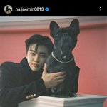 [NCT드림] 이마크 재민이 인스타에 좋아요 눌렀어