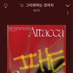 [세븐틴] <b>캐럿</b> 짱