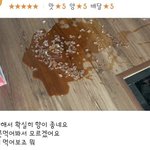 [드루와] <b>롱</b><b>패</b> 언제부터 입을 수 있을까