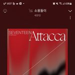 [세븐틴] 캐럿들 할거 정리