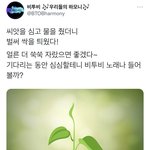 [BTOB] <b>총</b>공<b>팀</b> 투표하자/보고파 언젠가 별